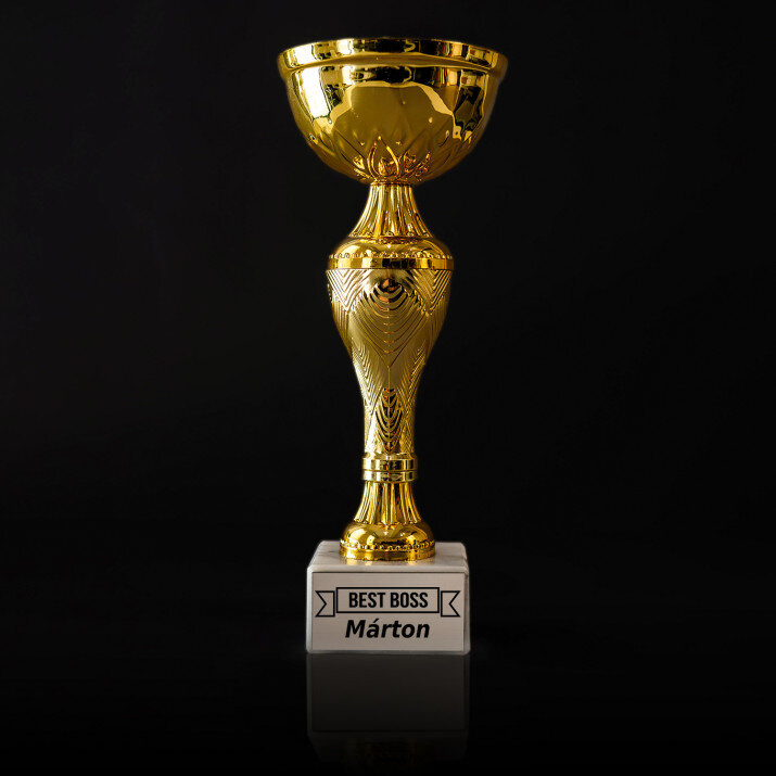 Best boss - Aranykupa