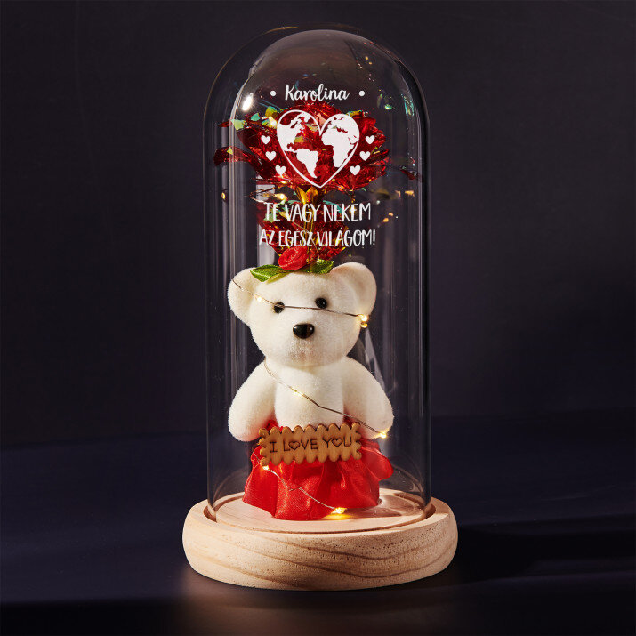 Az egész világ - Üvegkupolába zárt örök rózsa