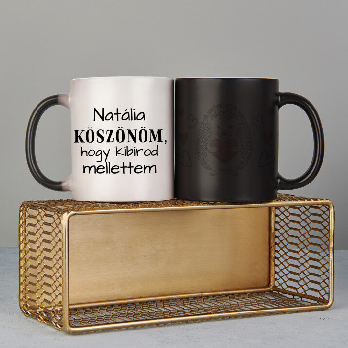 Köszönöm, hogy kibírod- Varázsbögre