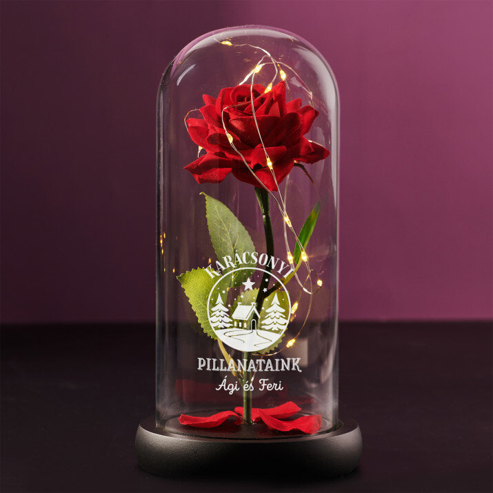 Karácsonyi pillanataink - Örök rózsa