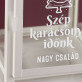 Szép karácsonyi idő - lámpa