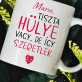 tiszta hülye vagy - Személyre szabott bögre