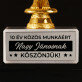 Közös munkáért - Díj